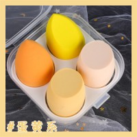Dry and Wet Use Cosmetic Puff Sponge